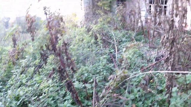 Заброшенный мини замок в зарослях - Заброшенный мир! смотреть онлайн