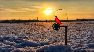 КАК ЗАСТАВИТЬ ЩУКУ КЛЕВАТЬ ?! Рыбалка на жерлицы