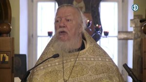 Протоиерей Димитрий Смирнов. Проповедь на память преподобного Серафима Саровского