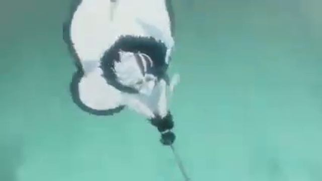 Самые крутые битвы Блича! смотреть онлайн