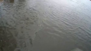 сеть 70-ка неплохой улов для этого времени