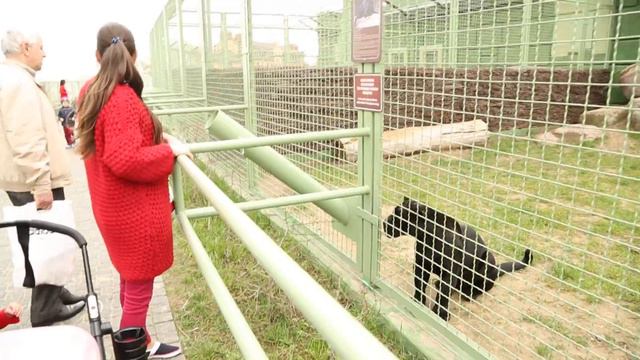 Зоопарк 12 месяцев отзывы смотреть онлайн