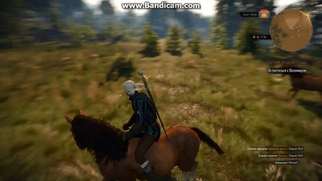 witcher3 Стая диких лошадей смотреть онлайн