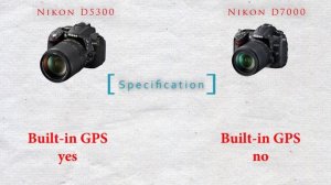 Nikon D5300 vs Nikon D7000 Comparison