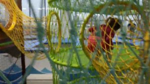 "Невидалия" г.Сергиев-Пассад