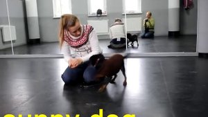 Важное упражнение для послушания вашей собаки Это основа для послушания при других собакак