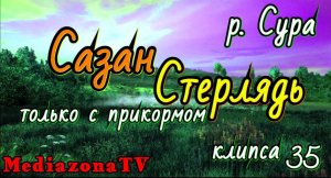 #рр4 р.Сура  Сазан Стерлядь 20.04