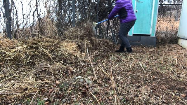 КОРЕЯ. 11 ДЕНЬ КАРАНТИНА / ЗАКОНЧИЛА УБОРКУ