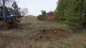 Корчеватель пней для трактора