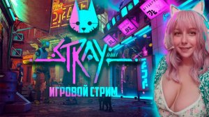 STRAY  ТЕПЕРЬ Я КОТИК - ИГРОВОЙ СТРИМ