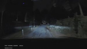 Silverstone f1 Cityscanner. Тест ночь, звук..