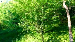 Санитарные блоки для домиков и сафари-шатров