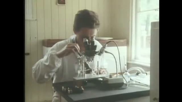 Брат Адам История пчелы Бакфаст Часть 2 смотреть онлайн