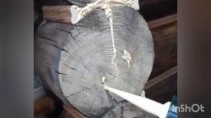 Реставрация и утепление сруба.