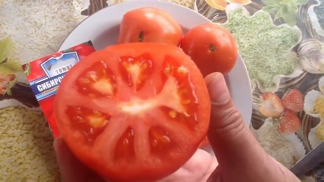 Томат "СИБИРСКИЙ ГИГАНТ". Дегустация смотреть онлайн