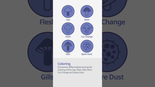 The prince (Agaricus augustus) | Coloring | Practical Short Profile | Shroomers смотреть онлайн
