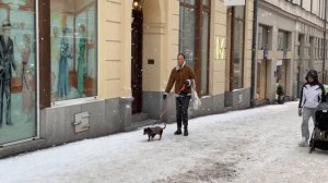 Сказочный снегопад в Стокгольме❄️/ Что носят в Стокгольме/ Уличный стиль/ Уличная мода в Стокгольме