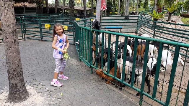 Да не оскудеет рука дающего.)) Тропический сад Нонг Нуч Паттайя. смотреть онлайн