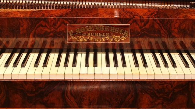 Gigliola Di Grazia plays Chopin: Mazurkas op. 50 - 1835 Rosenberger piano смотреть онлайн