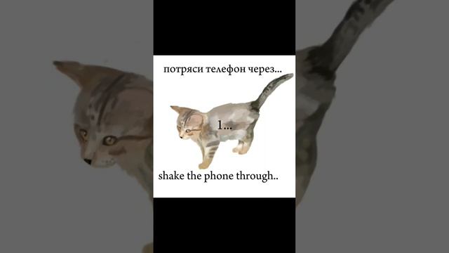 эпилептикам не смотреть! #cat #edit #warriorcats #warriors #коты #котывоители #cats #fypシ #эдит #ко