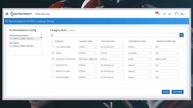 Data Profiling & Masking for Oracle Database | dataZense - ChainSys