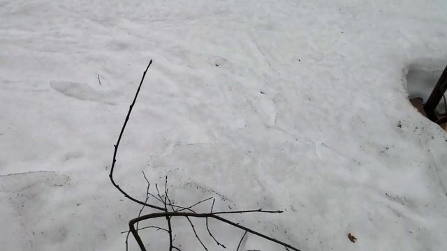 12 мая, на даче. Снега ещё много? смотреть онлайн