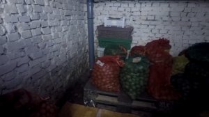 ПОГРЕБ в Гараже/ Потолок сухой.