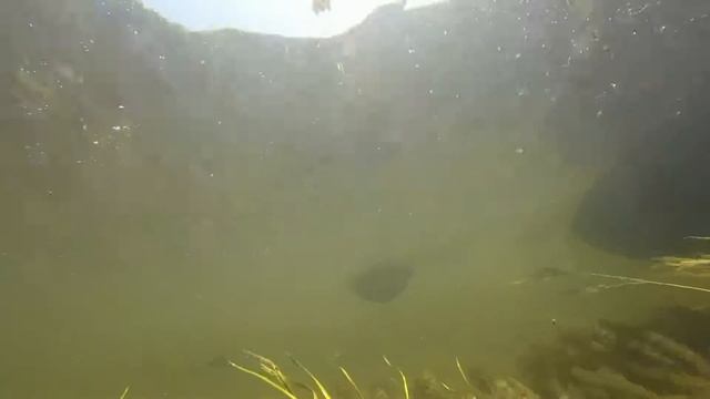 Релакс и подводные съемки. Южный Урал. Сплав по реке Белая #4 смотреть онлайн