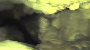 Заработать на воде Система очистки воды Можно ли на этом заработать реальные деньги