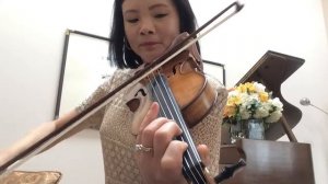 “Mary Had A Little Lamb” on Violin D String