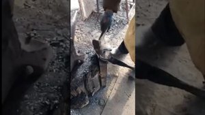 АТ ТАКАЛОО ыкмасы, как правильно подковать лошадь