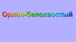 Животные и растении которые занесены в красную книгу