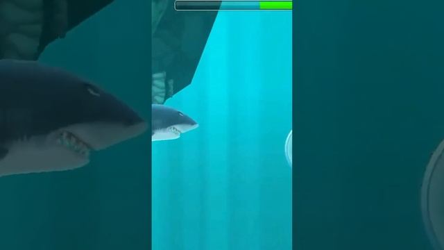 HUNGRY SHARK - ЧТО СТАЛО С ИГРОЙ? #shorts