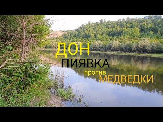 РЫБАЛКА И ОТДЫХ НА ДОНУ С НОЧЕВКОЙ 2023 #2 смотреть онлайн