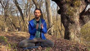 Самая эффективная медитация. Личный опыт Романа Нарейко