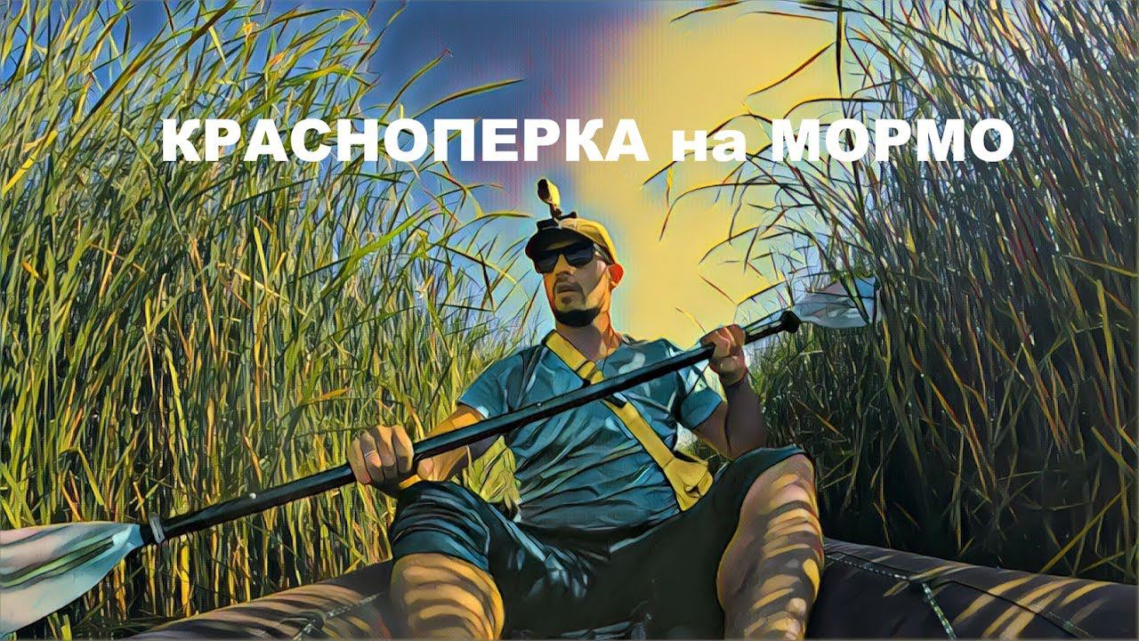 Забрался в заросли за красноперкой. Ловля на МОРМЫШИНГ