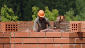 Шаркан 11.07.2024