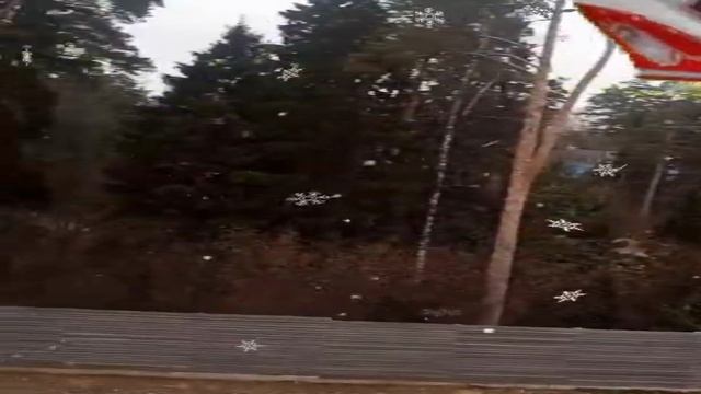 Монтаж новогоднего освещения в д. Воробьи, СНТ Ковчег.