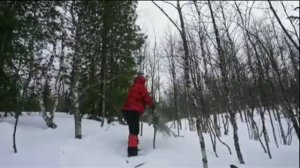 Испытание ветками, Олег Таймень