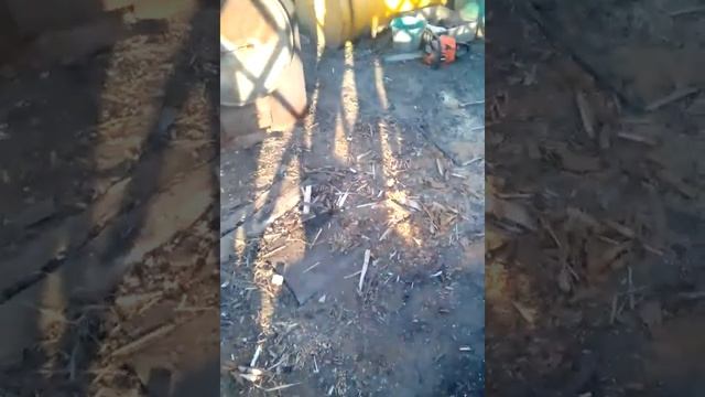 Изготовление древесного угля смотреть онлайн