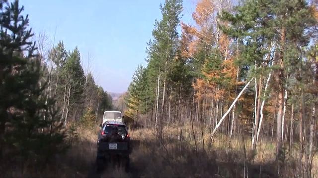 Выехали в лес лето проводить да казан испытать смотреть онлайн