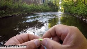 Трофейная Форель. Голавль на силикон