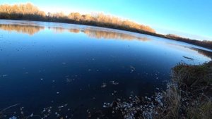 Рыбалка на налима, осень 2020! Впервые попробовали поставить тычки.