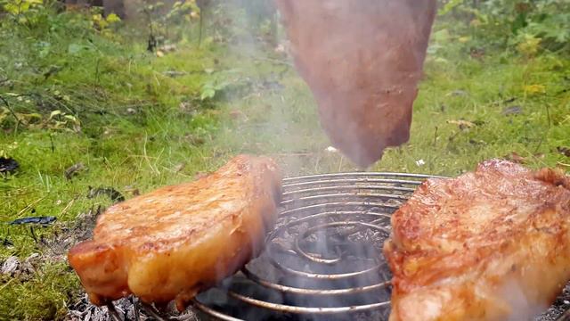 СТЕЙКИ ИЗ СВИНИНЫ С ОВОЩАМИ ГРИЛЬ В ЛЕСУ.(ENG SUB) смотреть онлайн