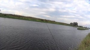 ZipBaits Rigge 35ss VS жерех верхней Москва-реки.