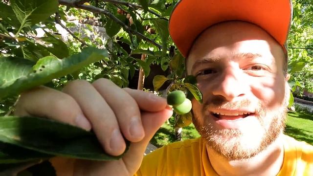 Армения - лучшая страна на Земле! Самая вкусная еда в Армении!Отдых в Армении 2022.