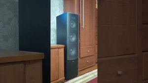 Infinity Beta 40 (bass i love you)