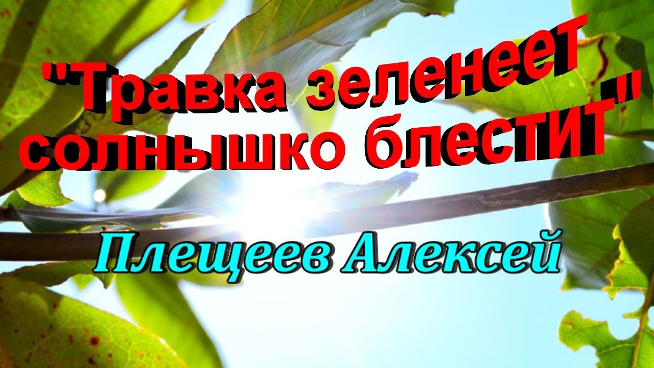 Травка зеленеет солнышко блестит видео мальчик. Плещеев травка зеленеет. Травка зеленеет солнышко блестит. Плещеев травка зеленеет стихотворение.