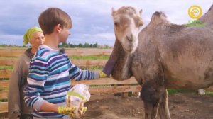 Живая школа. Анонс. Канал В мире животных