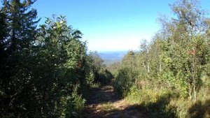 Ослянка: гора за выходные